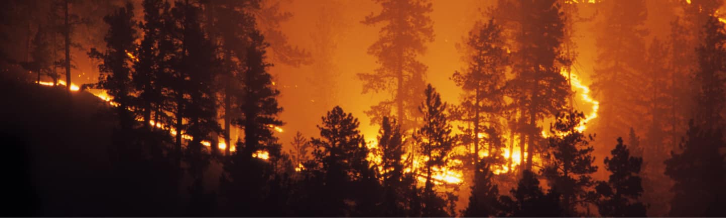 FireMIP - Coupled Model Intercomparison Project